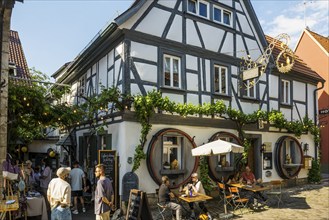 Medieval wine-growing village with half-timbered houses, Sommerhausen, Mainfranken, Lower