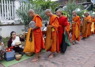 Morning Alms ceremony, Luang Prabang, Laos, Asia