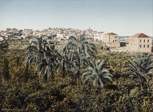 Jaffa, Palestine, Holy Land, photochrome print around 1890