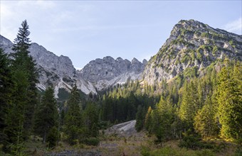 Mountain landscape with forest and rocky peaks of the Schinder group in the morning light, hiking