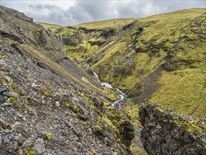 Small river flows in the moss-covered gorge Nauthusagil, Katla Geopark, Iceland, Europe