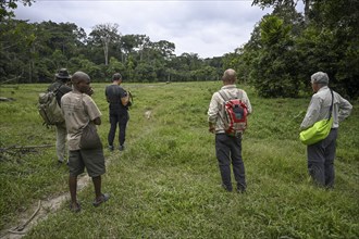 Tourists tracking elephants near Baï-Hokou, Dzanga-Ndoki National Park, Unesco World Heritage Site,