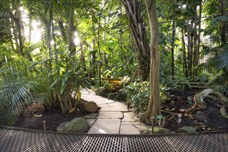 A path of stone slabs winds its way through dense tropical plants in backlighting, historic