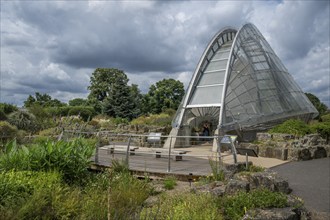 Davies Alpine House, modern greenhouse with curved glass structure and plants from the high