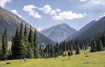 Hiker and mountains in the mountain valley near Altyn Arashan, Kyrgyzstan, Asia