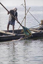 Mussel fisherman emptying his net on the Vembanad Lake, canal system of the backwaters, Kerala,