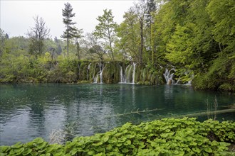 Waterfall, Plitvice Lakes National Park, Plitvicka Jezera, Lika-Senj, Croatia, Europe