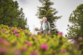 Woman in the middle of a blooming landscape, surrounded by pink flowers and green fir trees,