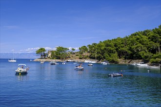 Beach, Plaža Valdarke Bay, Mali Losinj, Losinj Island, Kvarner Gulf Bay, Croatia, Europe