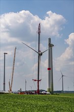 Repowering of a wind farm near Issum, 9 older wind turbines from the manufacturer Enercon (model