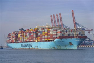 Harbour tugs bring the container freighter Madison Maersk from its berth at the RWG Container