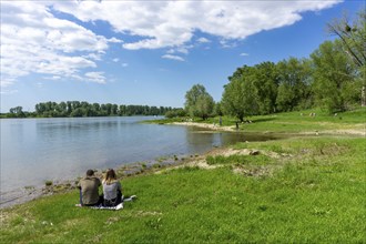 Urdenbachen Kämpe nature reserve, Lower Rhine cultural landscape with pollarded willows, fruit