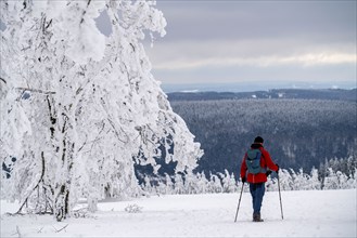 Winter in Sauerland, Hochsauerlandkreis, at Kahler Asten, near Winterberg, few tourists, visitors,