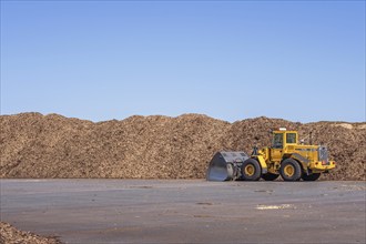 Loader at stacks of Woodchips on a loading area