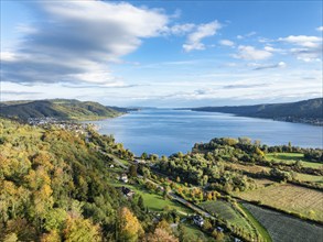 Aerial view of the Stockach Aach estuary with autumnal vegetation at the north-west bay of Lake