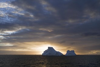 Icebergs in the Southern Ocean in the evening light, Antarctica, Sunset, Antarctica