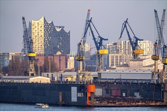 Hamburg harbour, Blohm + Voss shipyard, dry dock, dock 11, Elbe Philharmonic Hall concert hall in