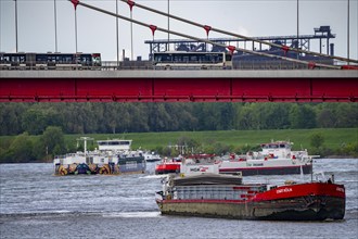 Cargo ships on the Rhine near Duisburg, near Ruhrort harbour, Friedrich Ebert Bridge, behind