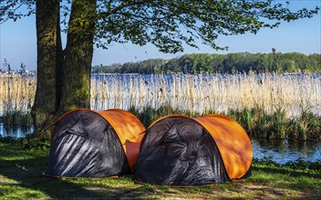 Two small tents, campsite, lake Schwerin, southern beach, Germany, Europe