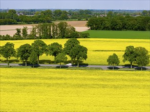 Landscape on the Lower Rhine, federal road B57, between Xanten and Kalkar, road traffic, North