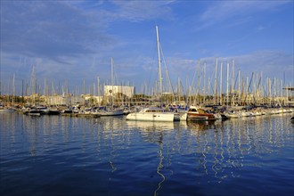 Marina, Port Vell, at the harbour, sailing boats, Barcelona, Catalonia, Spain, Europe