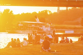 Summer evening at the Blue Wonder on the Elbe, Dresden Loschwitz, Dresden, Saxony, Germany, Europe