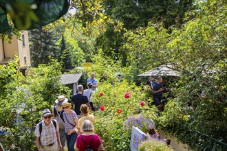 31st Elbhangfest, Friebel's Garden of Fantasy, 31st Elbhangfest, Dresden, Saxony, Germany, Europe