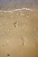 Footprints in the sand at Holkham beach, north Norfolk coast, England, United Kingdom, Europe