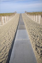 Sand dunes, Hook of Holland, Holland