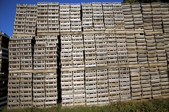 Piles of wooden crates on farm, Shottisham, Suffolk, England, United Kingdom, Europe