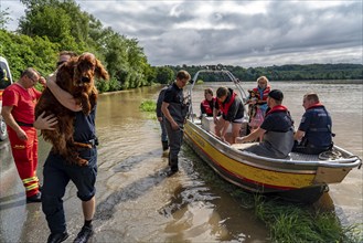 High water on the Ruhr, after long heavy rainfall the river came out of its bed and flooded the