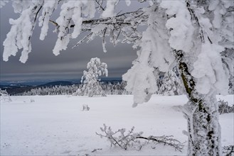 Winter in Sauerland, Hochsauerlandkreis, at Kahler Asten, near Winterberg, few tourists, visitors,