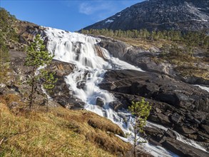 Waterfall Nyastolfossen, valley Husedal near Kinsarvik at the Hardangerfjord, Norway, Europe