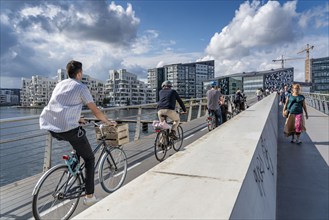 Cyclists on the Bryggebroen cycle and footpath bridge over the harbour, Sydhavnen, Copenhagen is