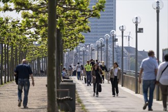 Rhine promenade Altstadtufer, North Rhine-Westphalia, Germany, Europe