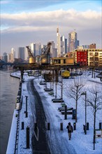 The skyline of Frankfurt am Main, skyscrapers of the banking district, historic harbour cranes at