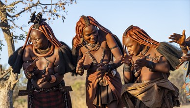 Traditional Himba woman clapping, music and dance, portraits, in the evening light, near Opuwo,