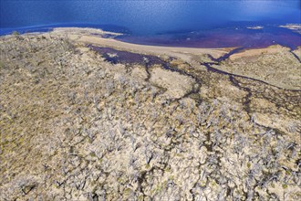 Aerial view over lake Laguna Cofre east of river Rio Murta, dead trees cover the shore, Patagonia,