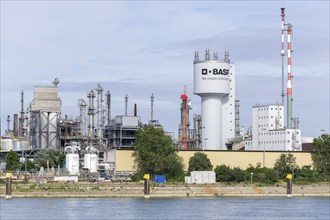 BASF, Lugwigshafen am Rhein, industrial area, Mannheim, Baden-Württemberg, Germany, Europe