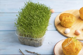 Homemade cakes with chocolate eggs and carrot microgreen on a blue wooden background. side view,