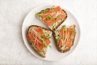 Grain bread sandwiches with red tomato cheese and mizuna cabbage microgreen on gray concrete