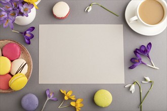 Beige paper sheet mockup with spring snowdrop crocus flowers and multicolored macaroons on gray