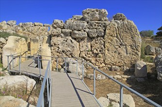 Ggantija neolithic megalithic 5500 years old prehistoric temple complex site Gozo, Malta, Europe