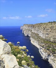 Coastal clifftop landscape view westwards at Ta' Cenc cliffs, island of Gozo, Malta, Europe