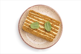 Homemade honey cake with milk cream and mint isolated on white background. Top view, close up, flat