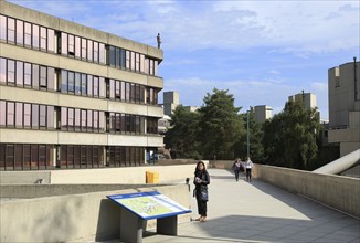 Antony Gormley human figure sculpture on rooftop, campus of University of East Anglia, Norwich,