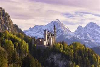 Neuschwanstein Castle near Füssen, evening mood, Schwangau, Allgäu Alps, snow, Ostallgäu, Bavaria,