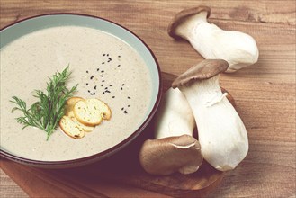 Mushroom cream soup, with dill and bruschetta, mushroom eringi