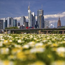 Blurred flowers on the lawn in the foreground with the sharp skyline of Frankfurt am Main in the