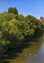 The river Main with a sports boat and the tip of the Main Triangle in Frankfurt-Sachsenhausen,